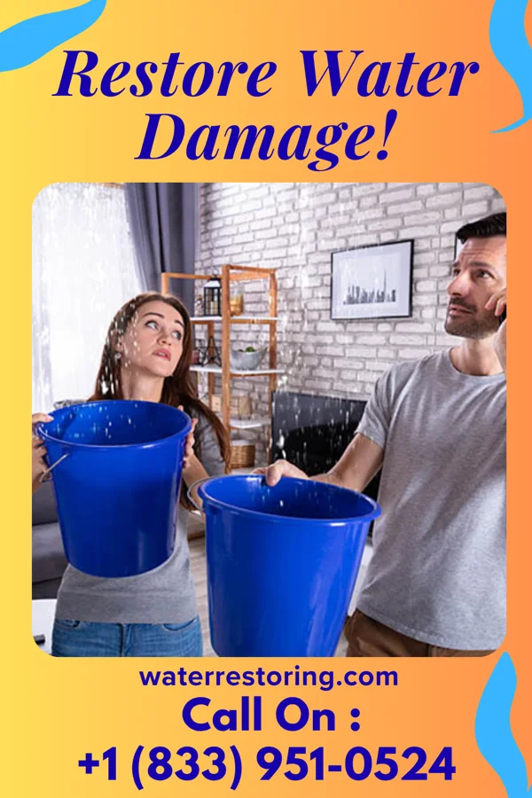 water restoration Shield Mitigation Company Spurgeon