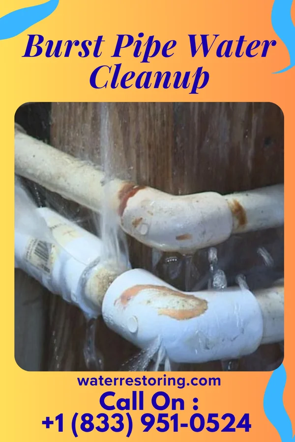 Burst Pipe Water Cleanup in Spurgeon, IN