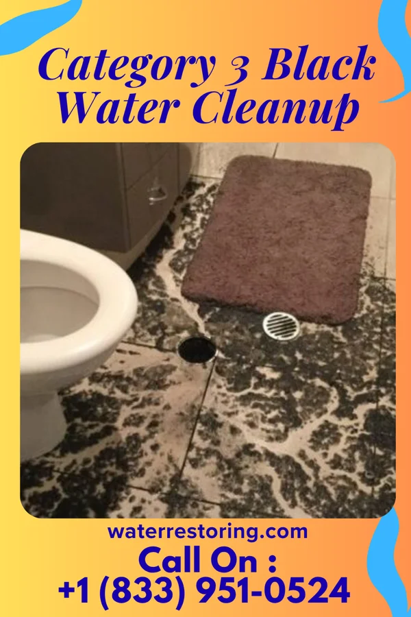 Category 3 Black Water Cleanup in Spurgeon, IN