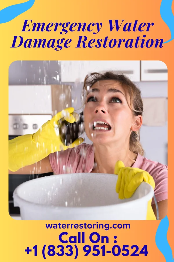 Emergency Water Damage Restoration in Spurgeon, IN