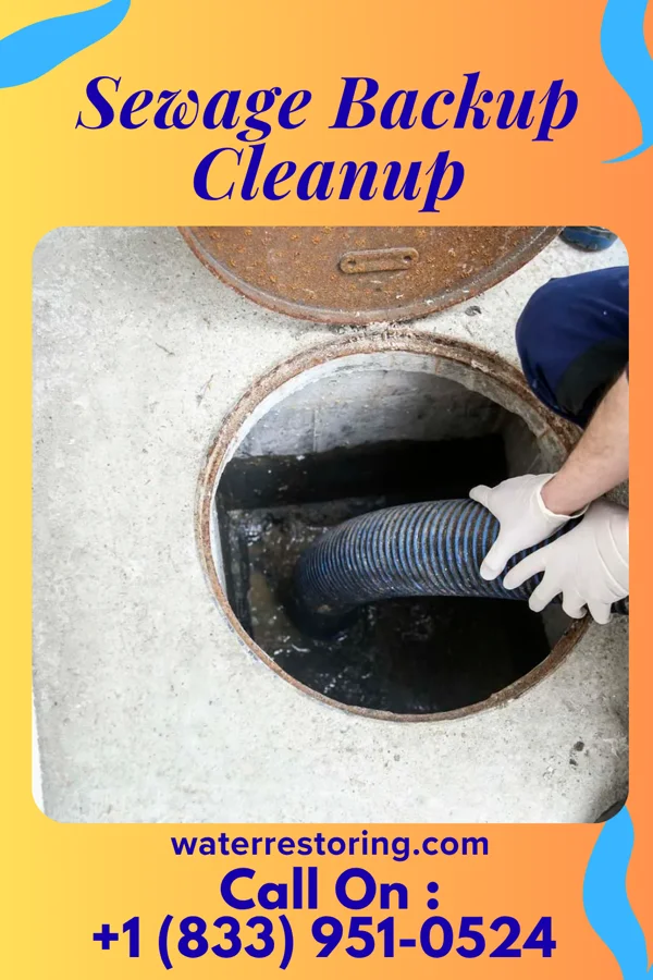 Sewage Backup Cleanup in Spurgeon, IN